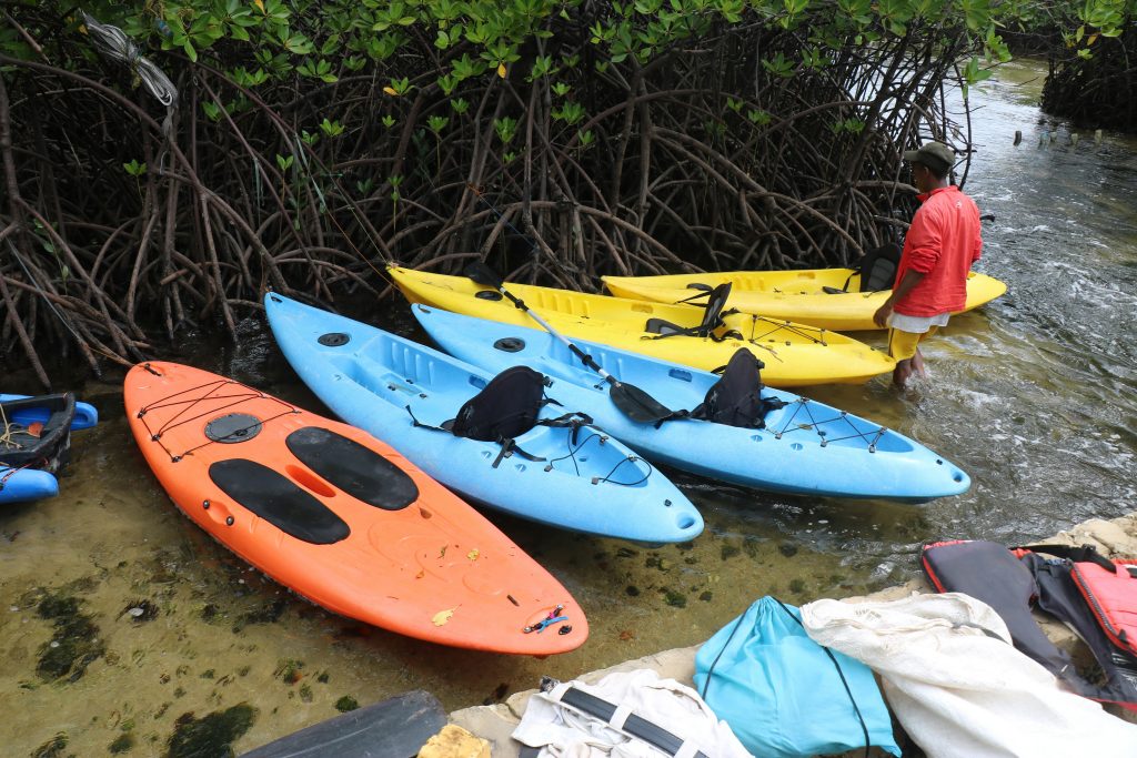 Colorful kayaks lined up along a waterway